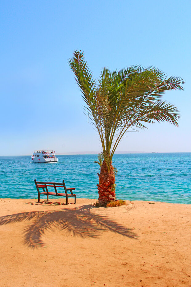 Meerespanorama mit Strandpalme, Bank, Schiff und Meer
